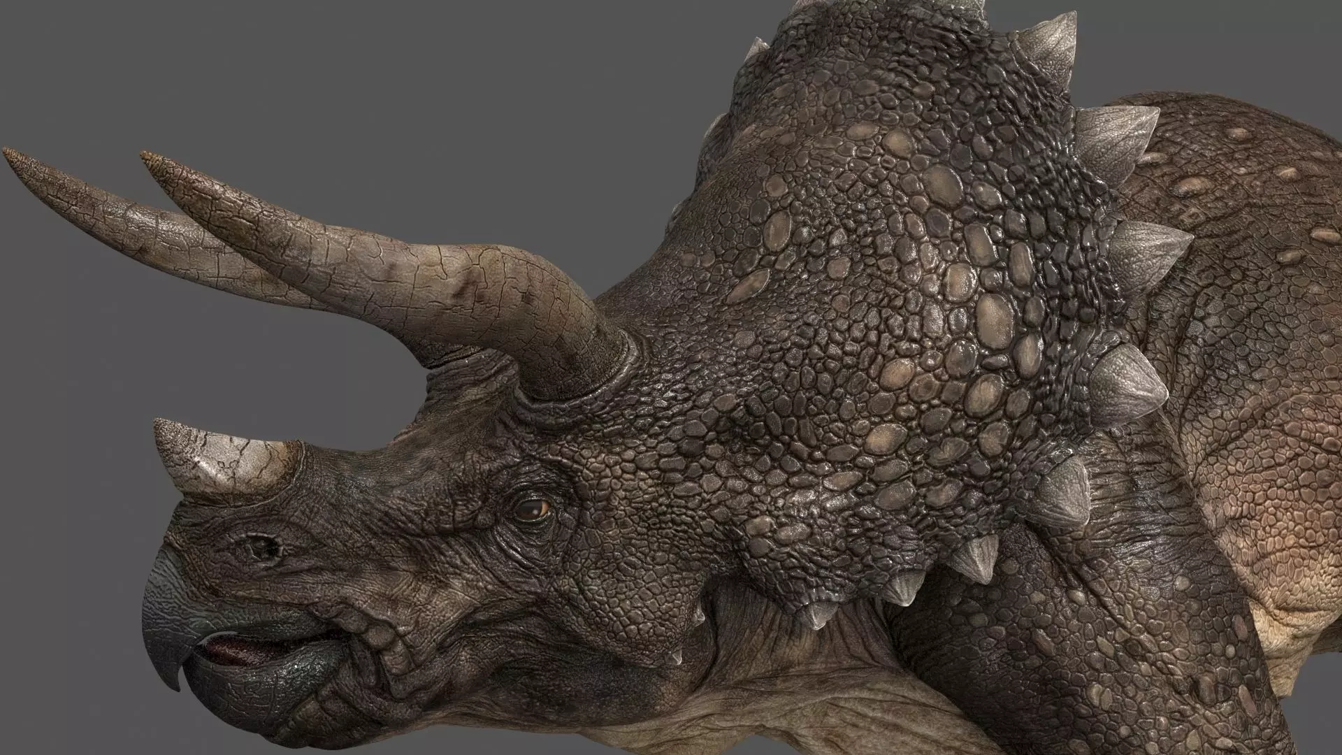 Triceratops - animations Low-poly 3D model_0