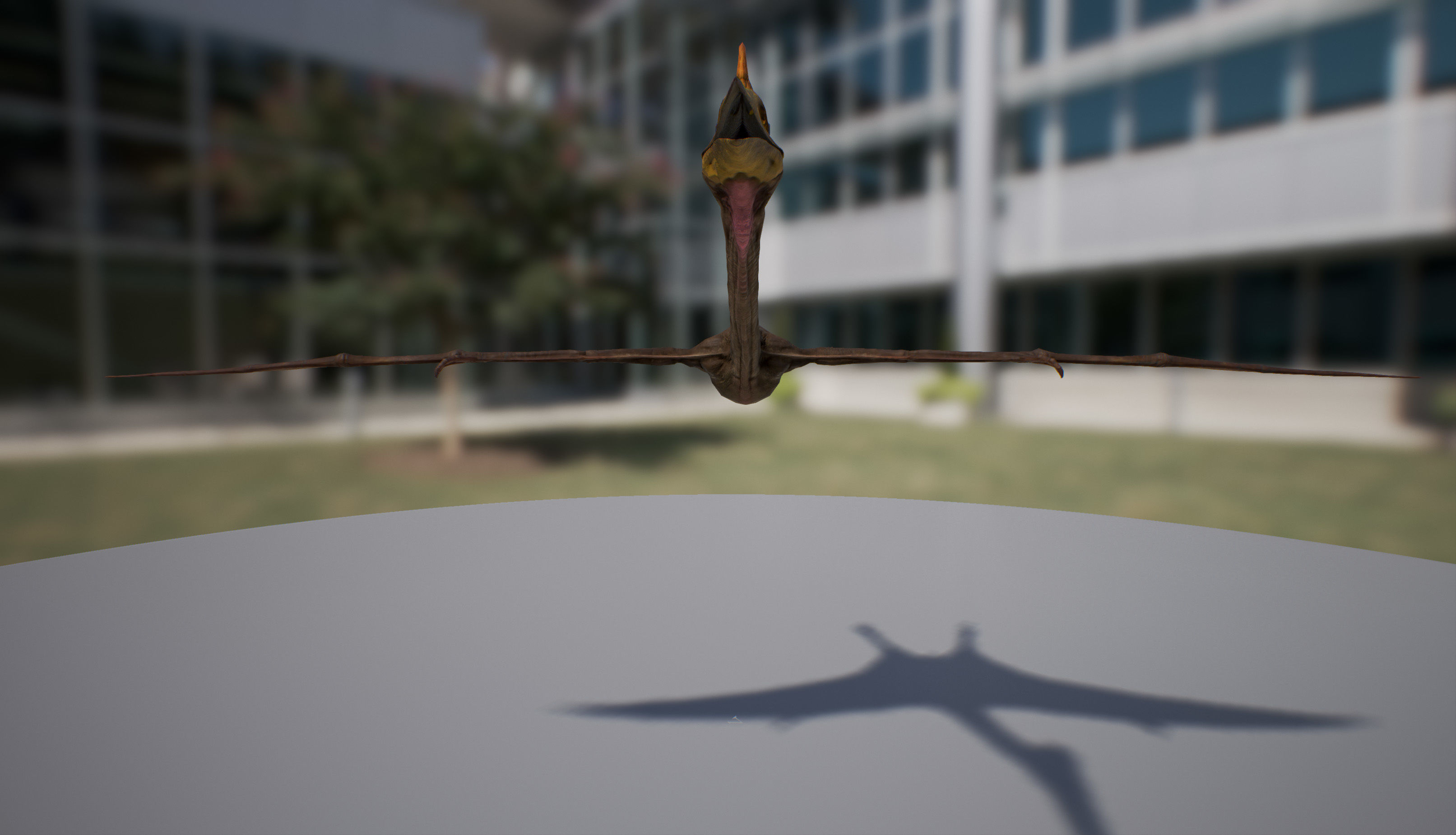 Quetzalcoatlus dinosaur flying in air Low-poly 3D model_6