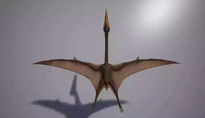 Quetzalcoatlus dinosaur flying in air Low-poly 3D model
