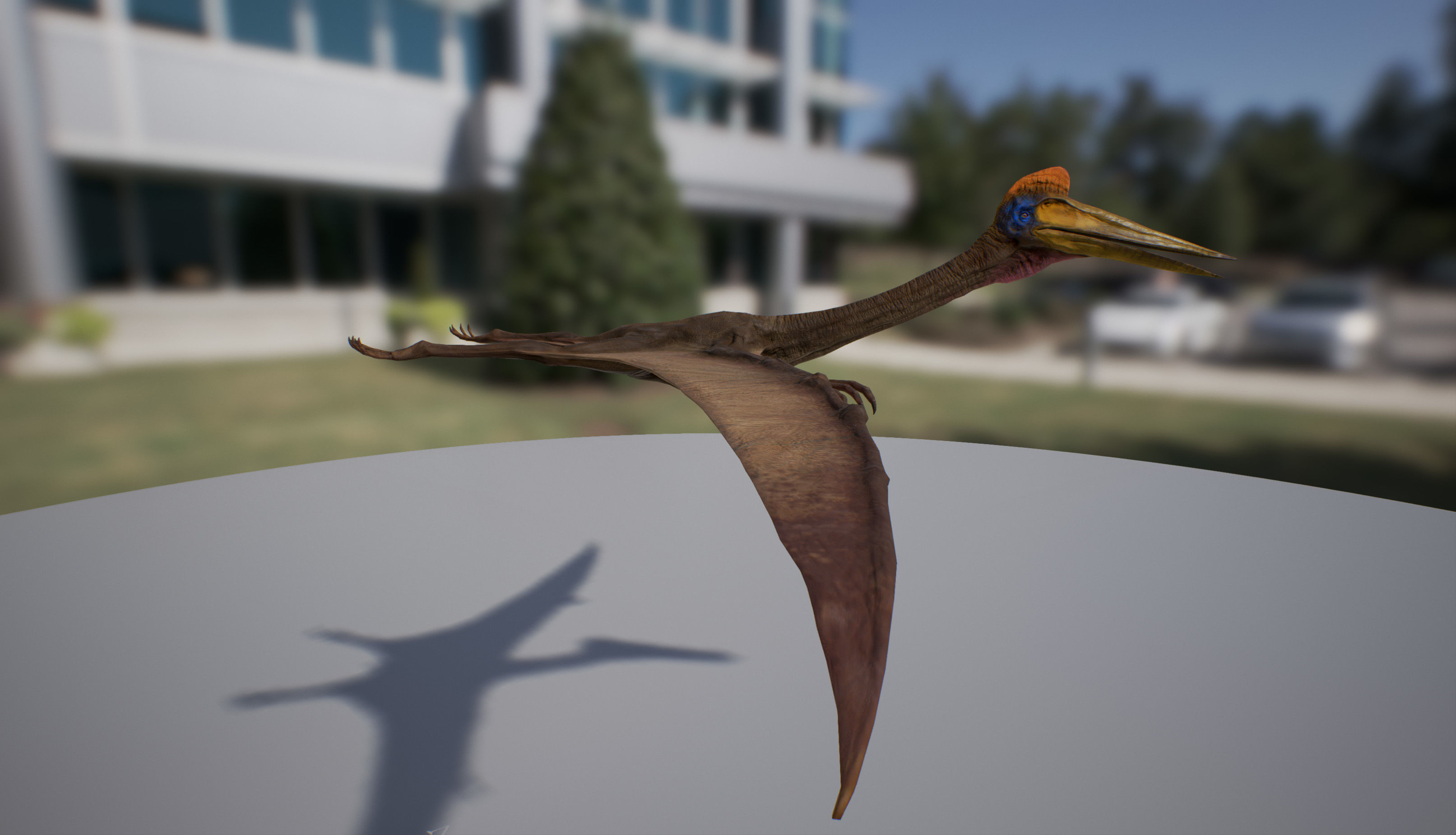 Quetzalcoatlus dinosaur flying in air Low-poly 3D model_5