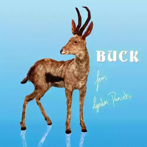 Generic Realtime African Brown Buck Low-poly 3D model