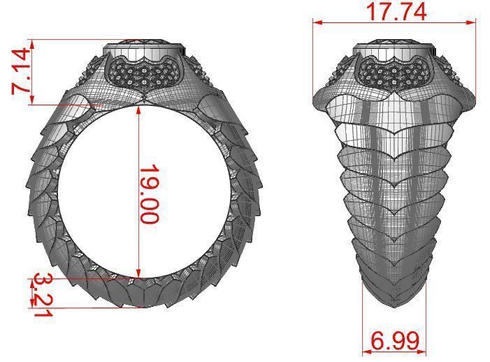 Men Scale Ring 3D print model_11
