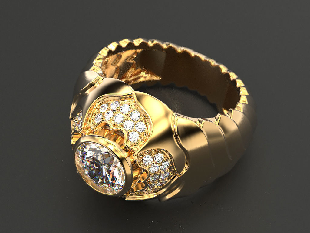 Men Scale Ring 3D print model_12