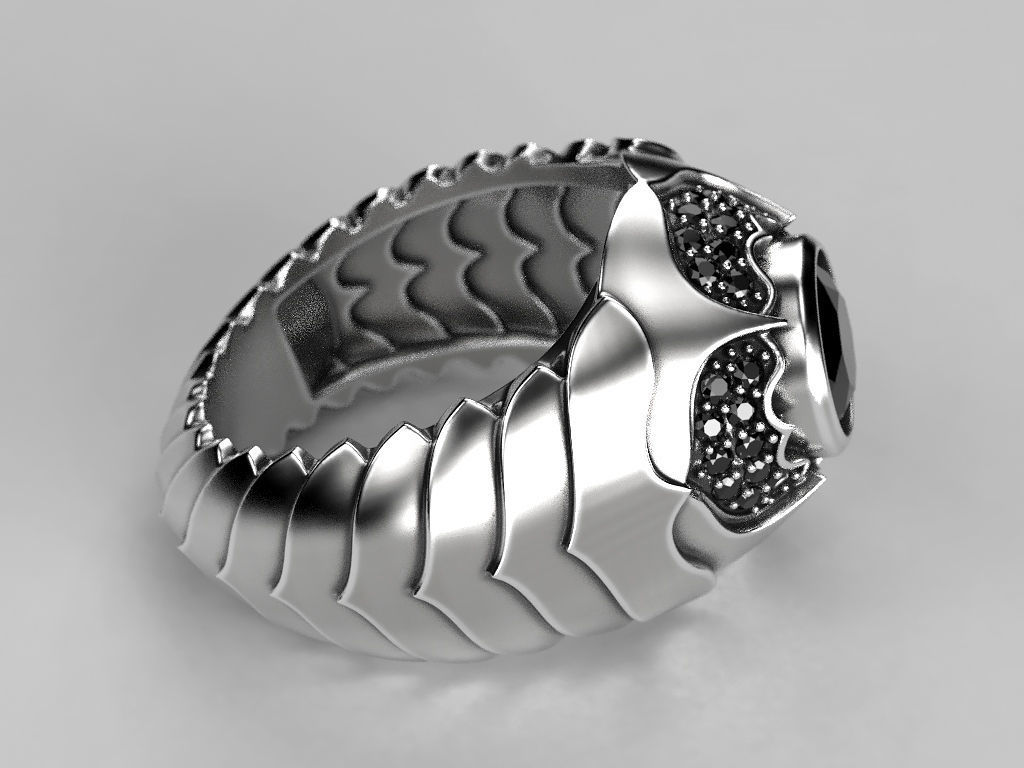 Men Scale Ring 3D print model_6