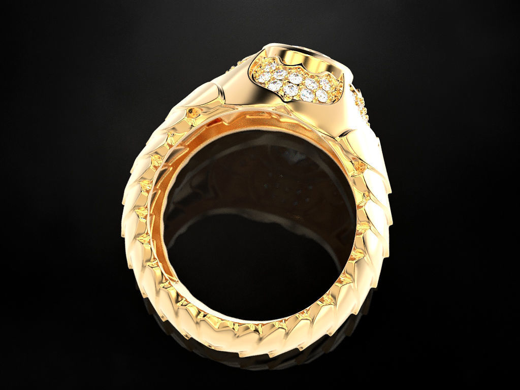 Men Scale Ring 3D print model_13