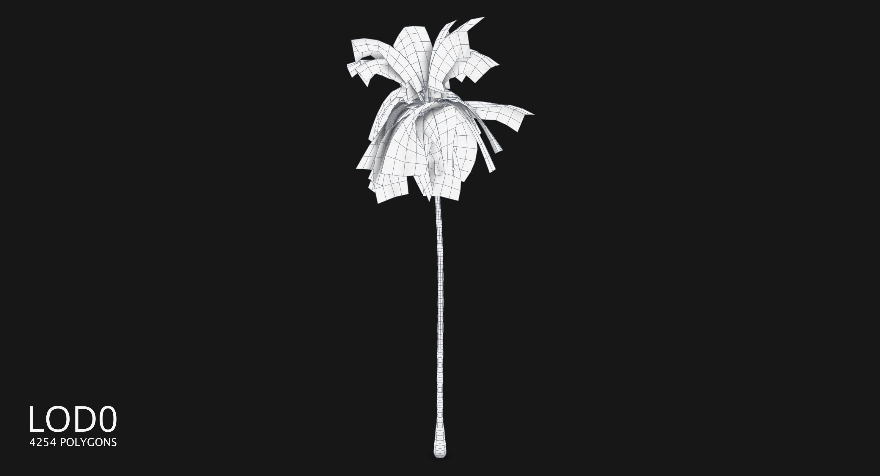 Coconut Palm Tree 3698-1 Low-poly 3D model_9