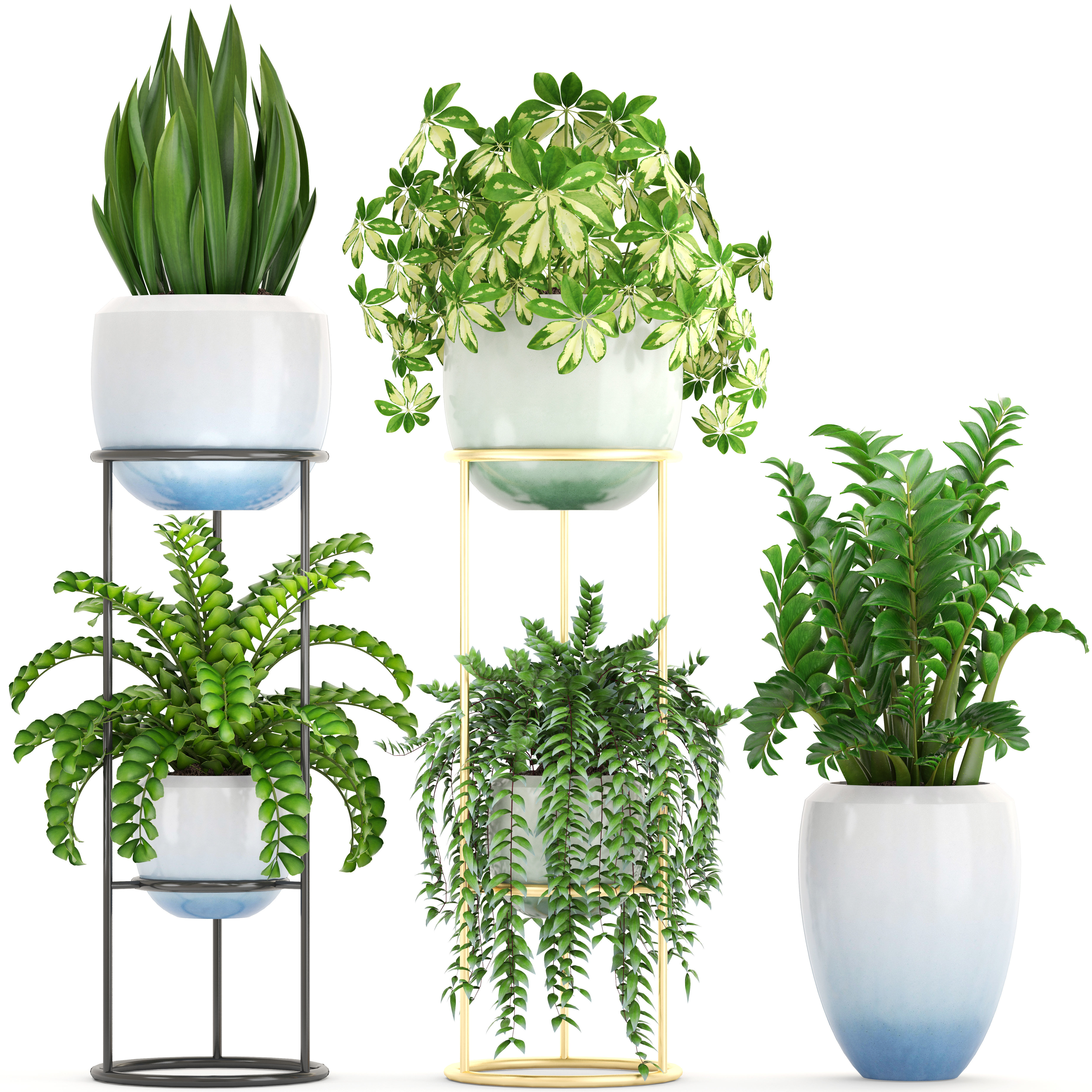 Collection plants fern plant in pot 3D model_10