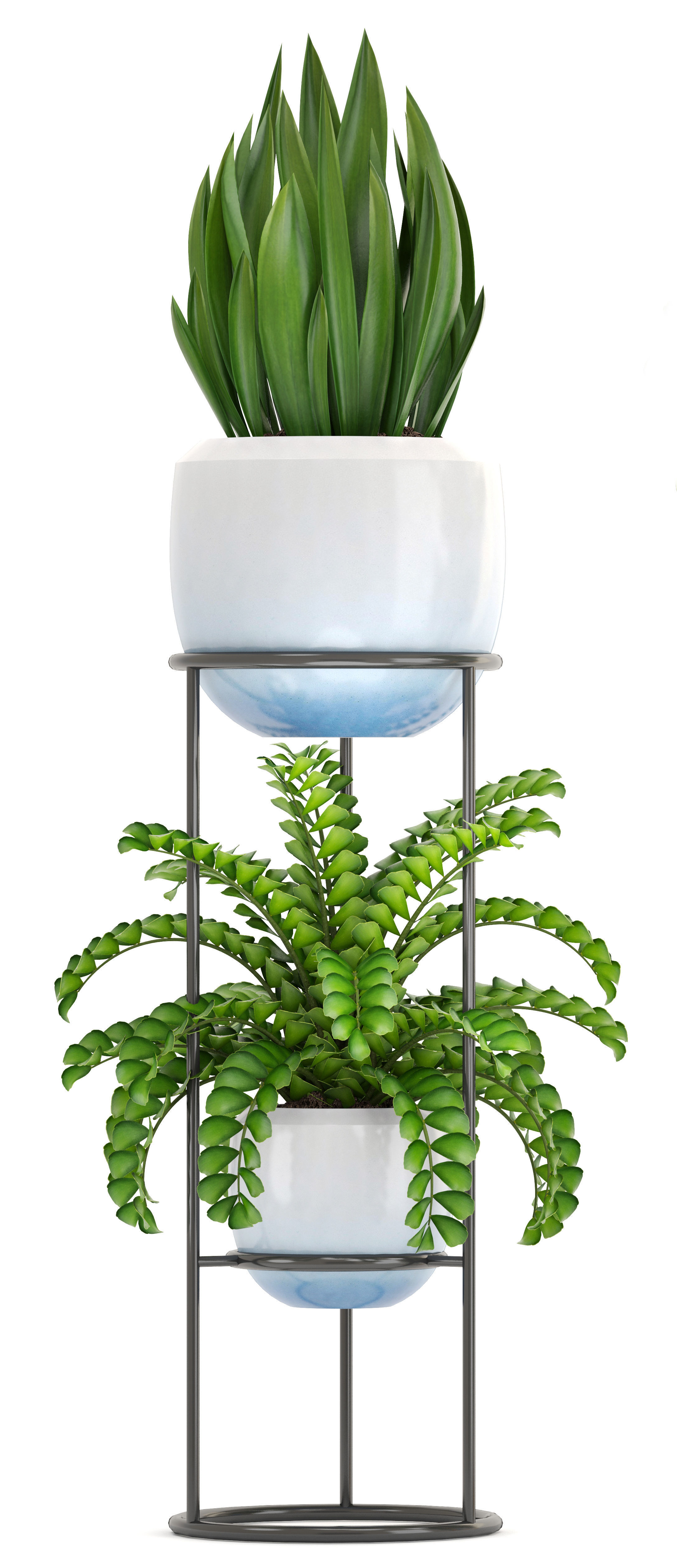Collection plants fern plant in pot 3D model_2