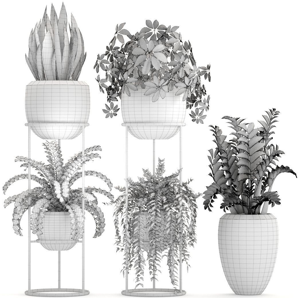 Collection plants fern plant in pot 3D model_7