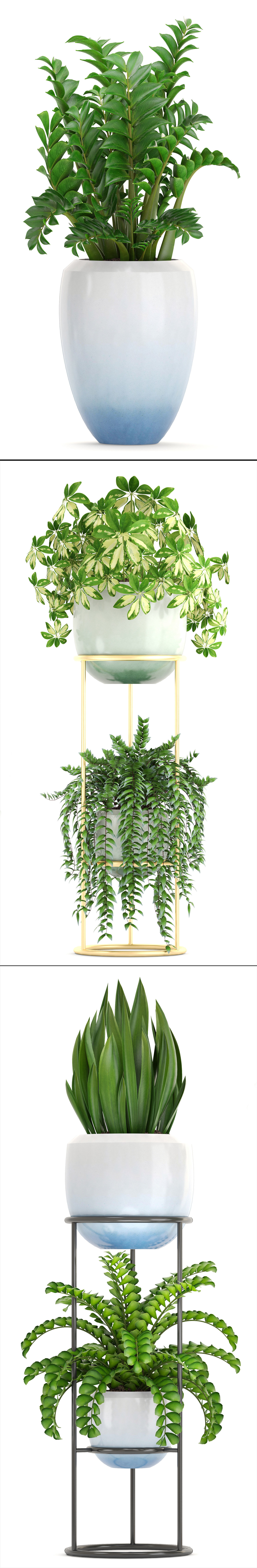 Collection plants fern plant in pot 3D model_9