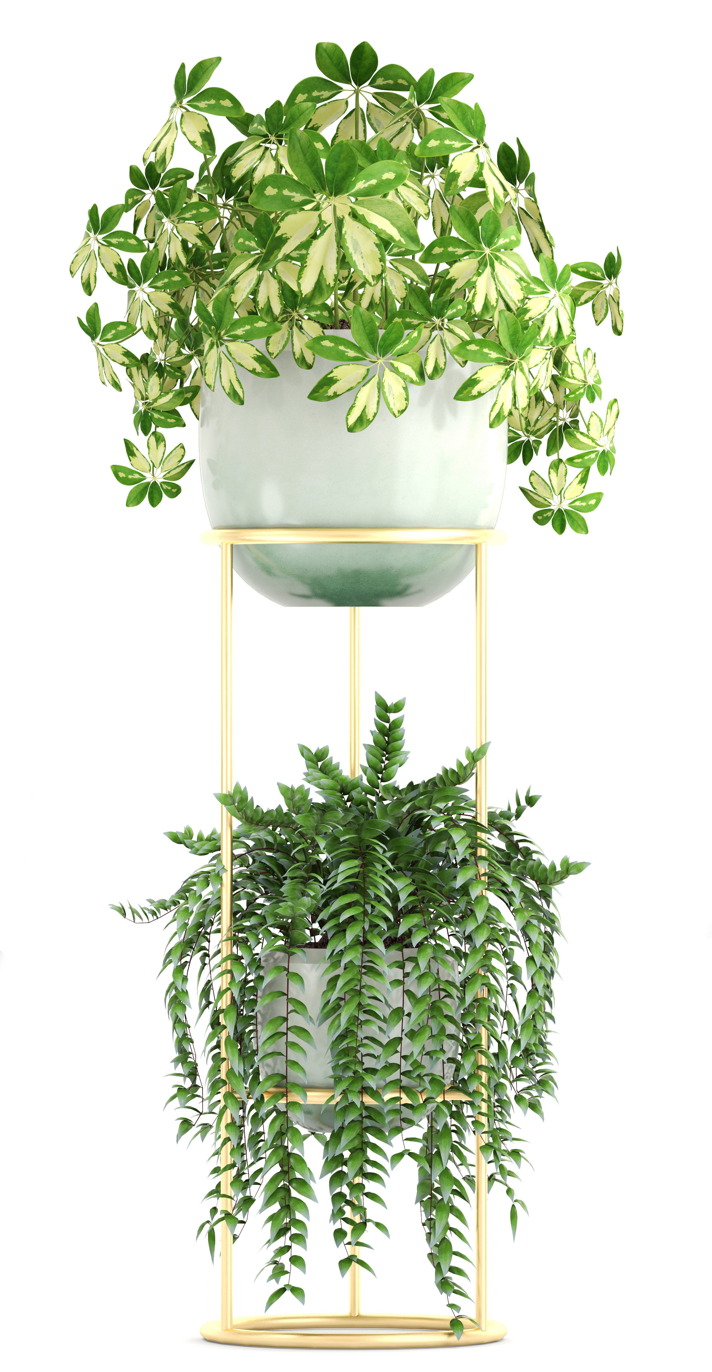 Collection plants fern plant in pot 3D model_5