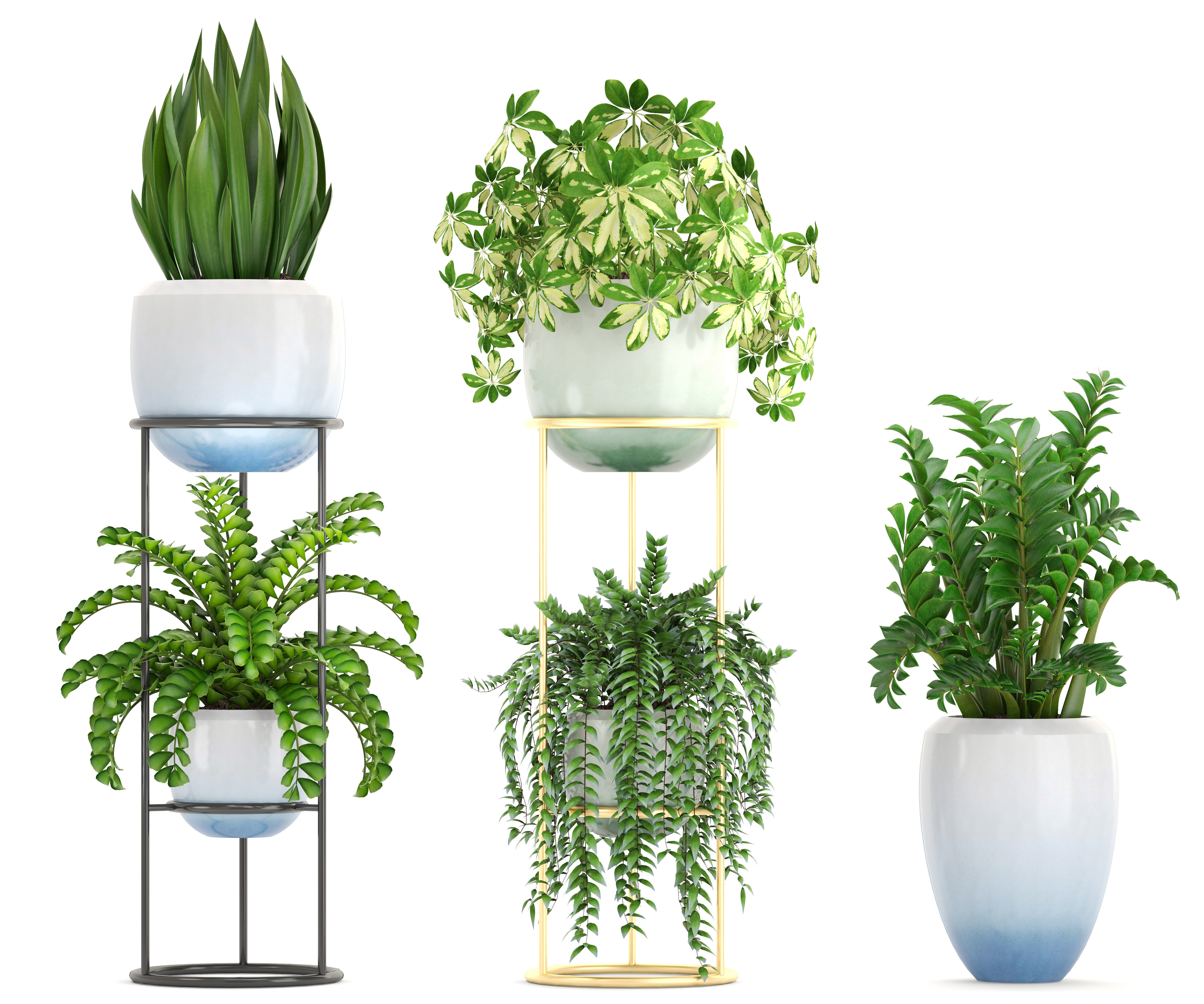 Collection plants fern plant in pot 3D model_3
