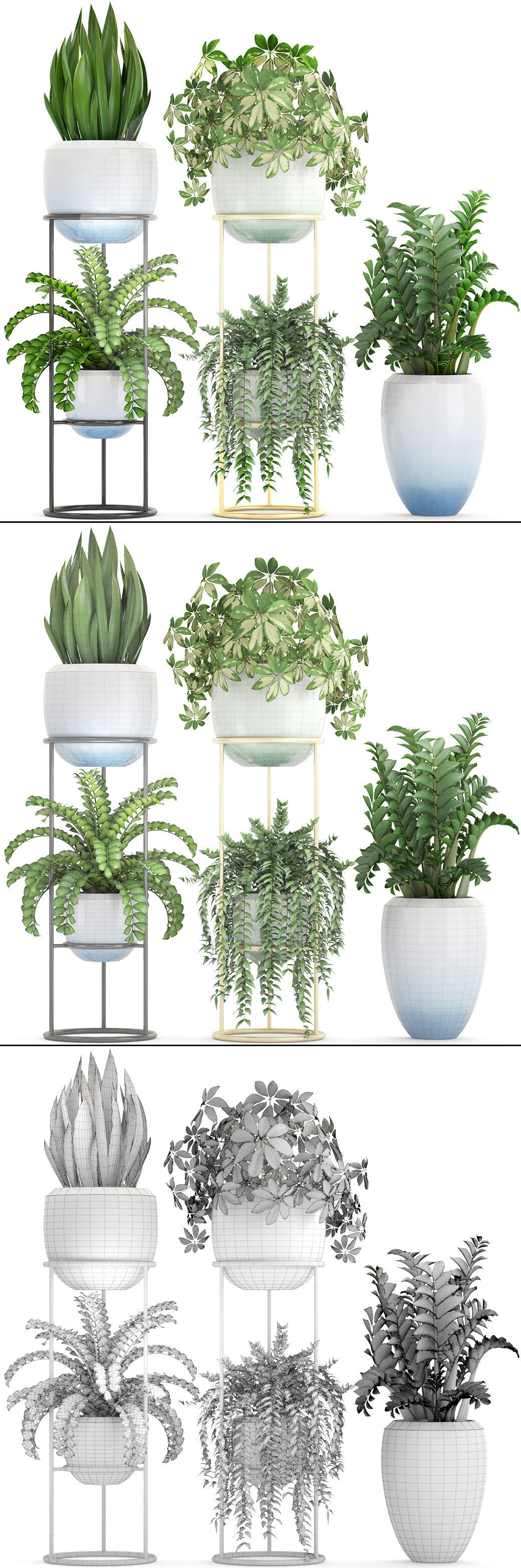 Collection plants fern plant in pot 3D model_8