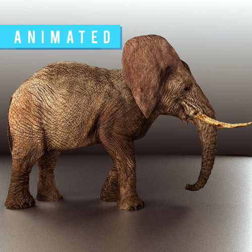 Walking Old African Elephant Low-poly 3D model