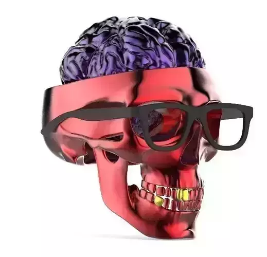 skull 3d model with glasses