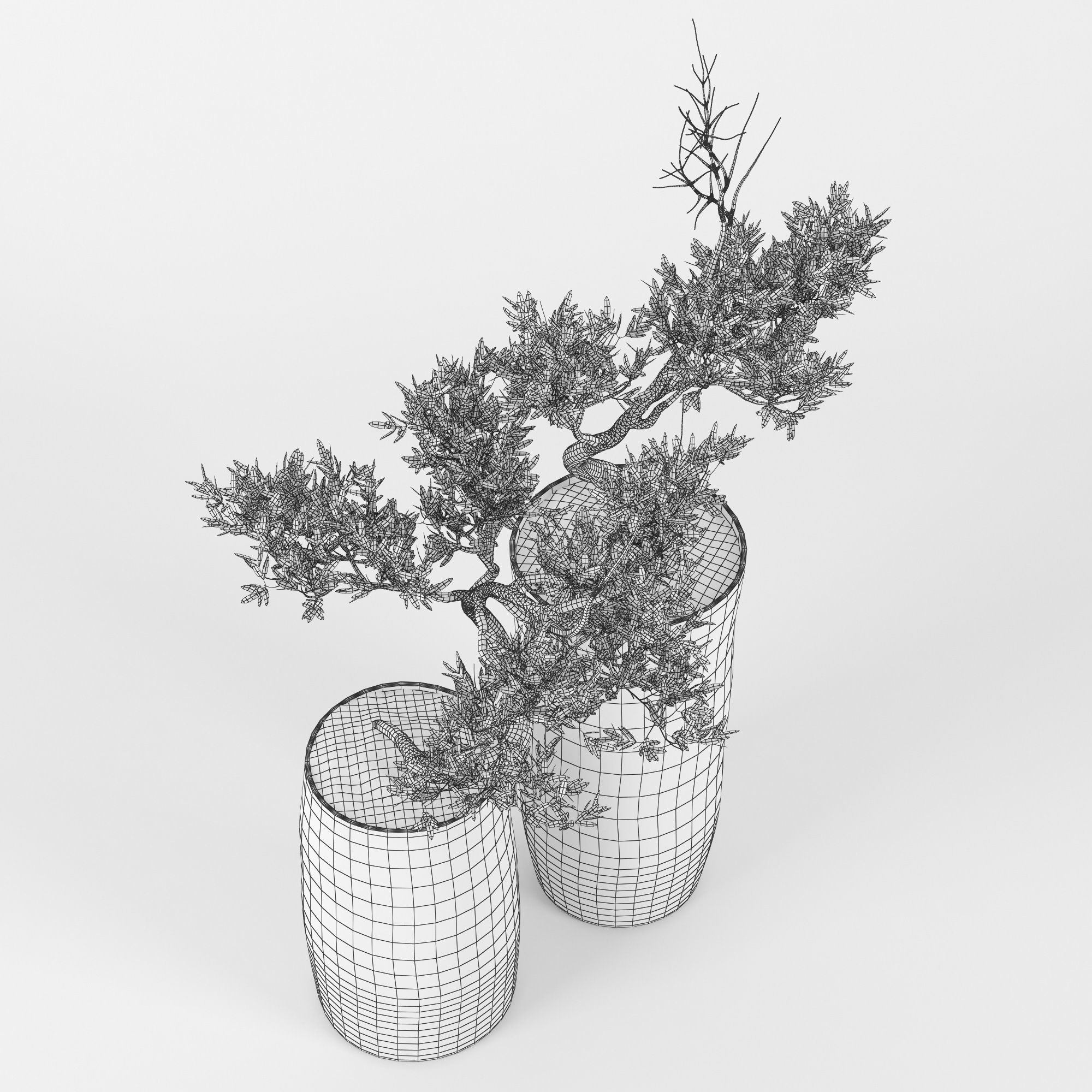 Olive Tree 3D model_5