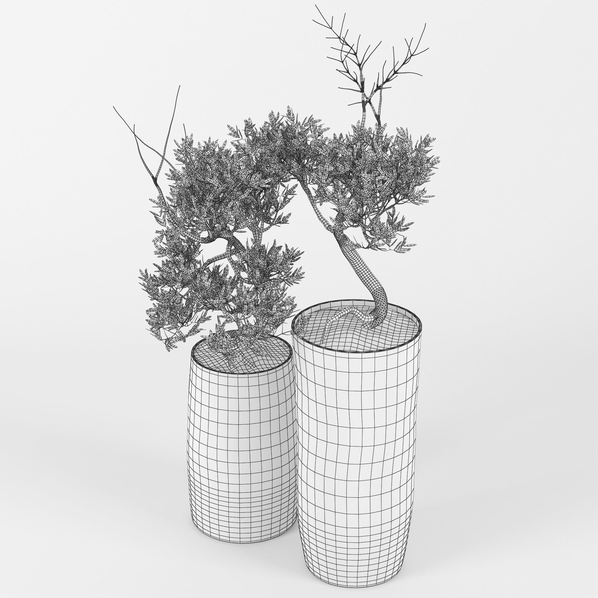 Olive Tree 3D model_6