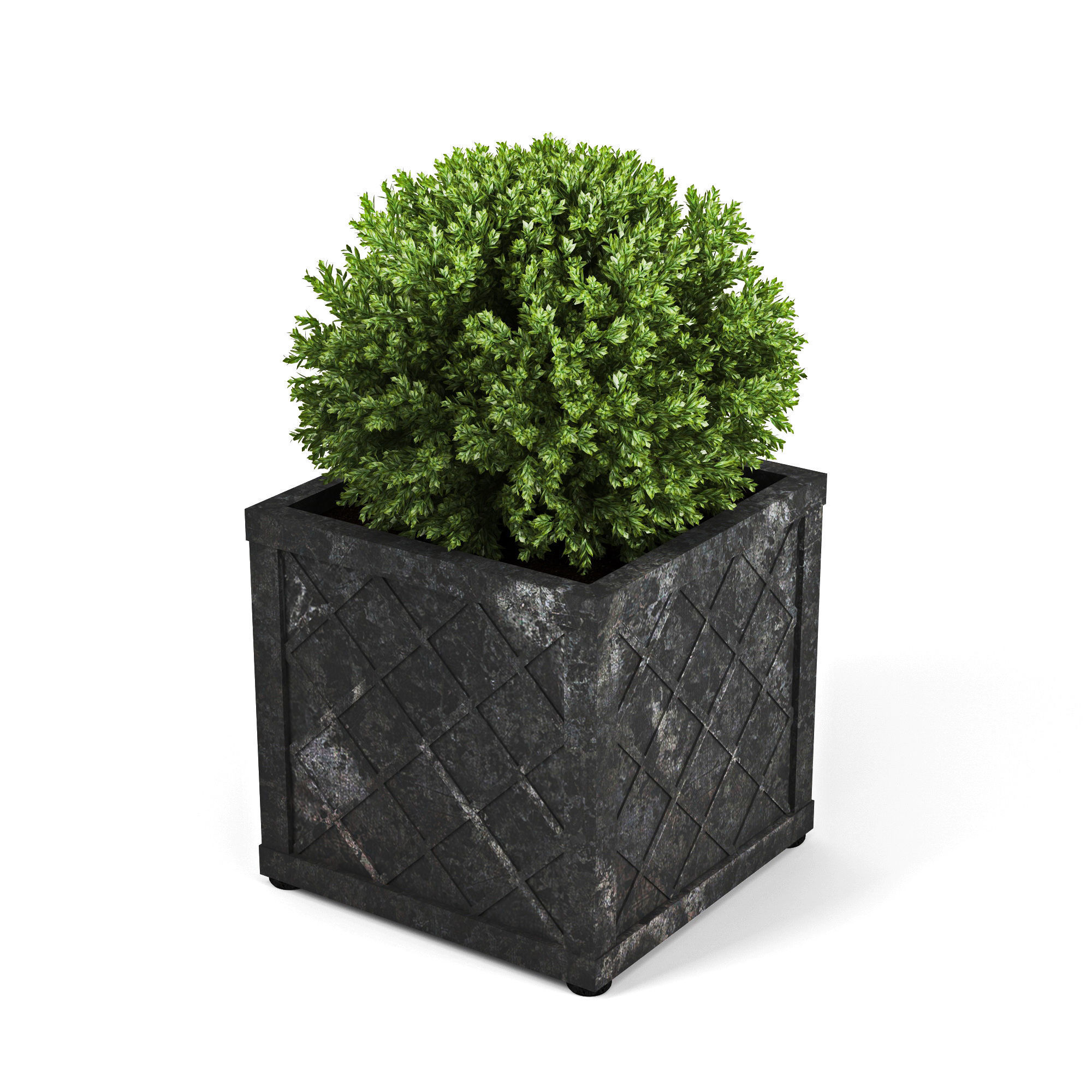 Bushes planter box 3D model_4