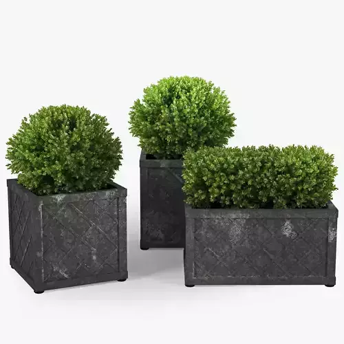 Bushes planter box