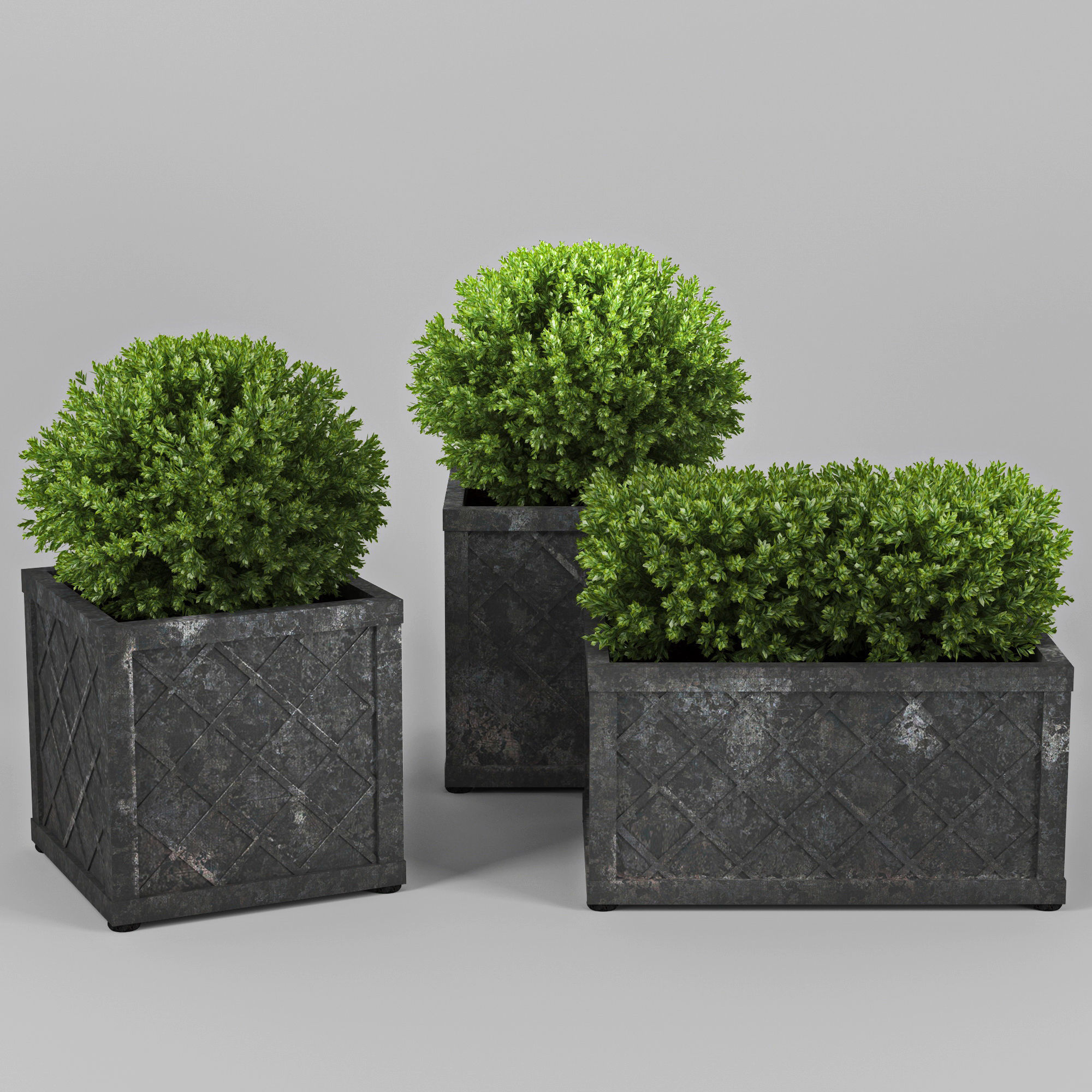 Bushes planter box 3D model_3