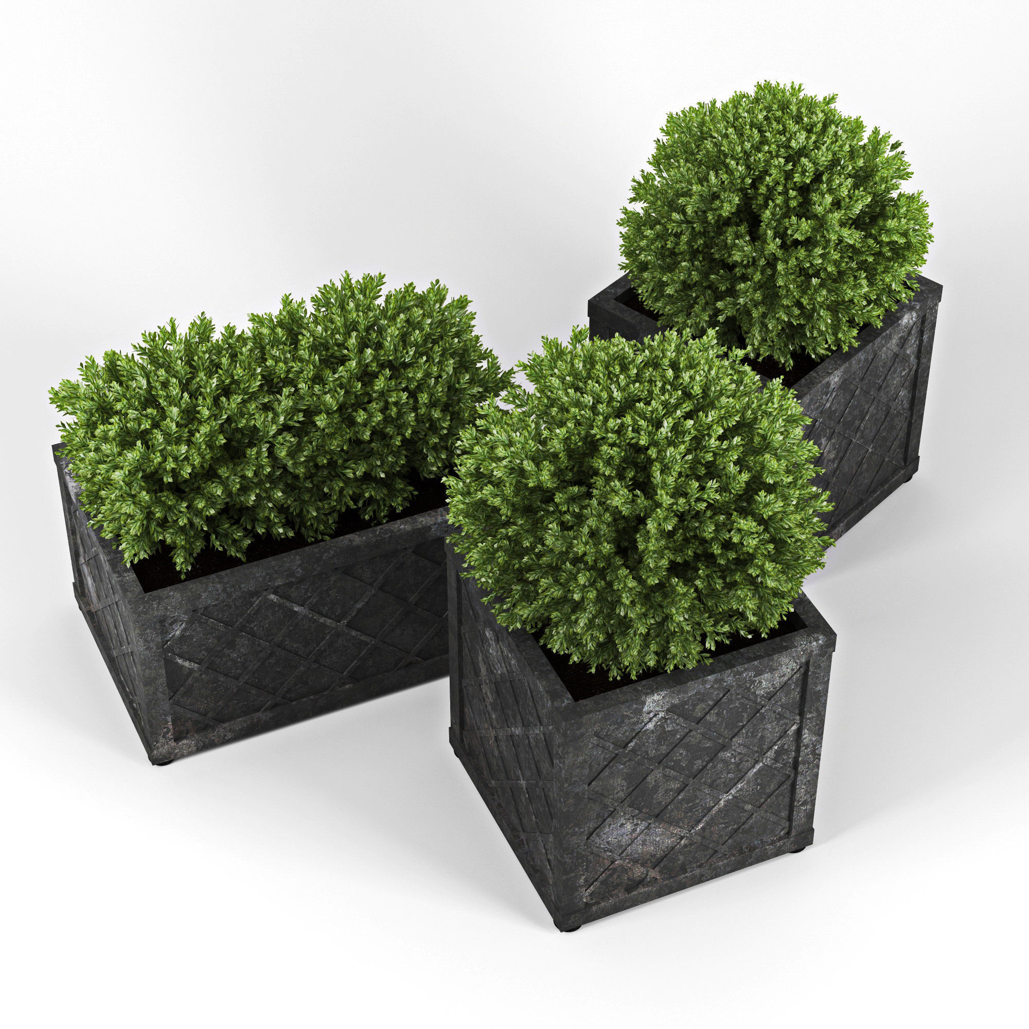 Bushes planter box 3D model_1