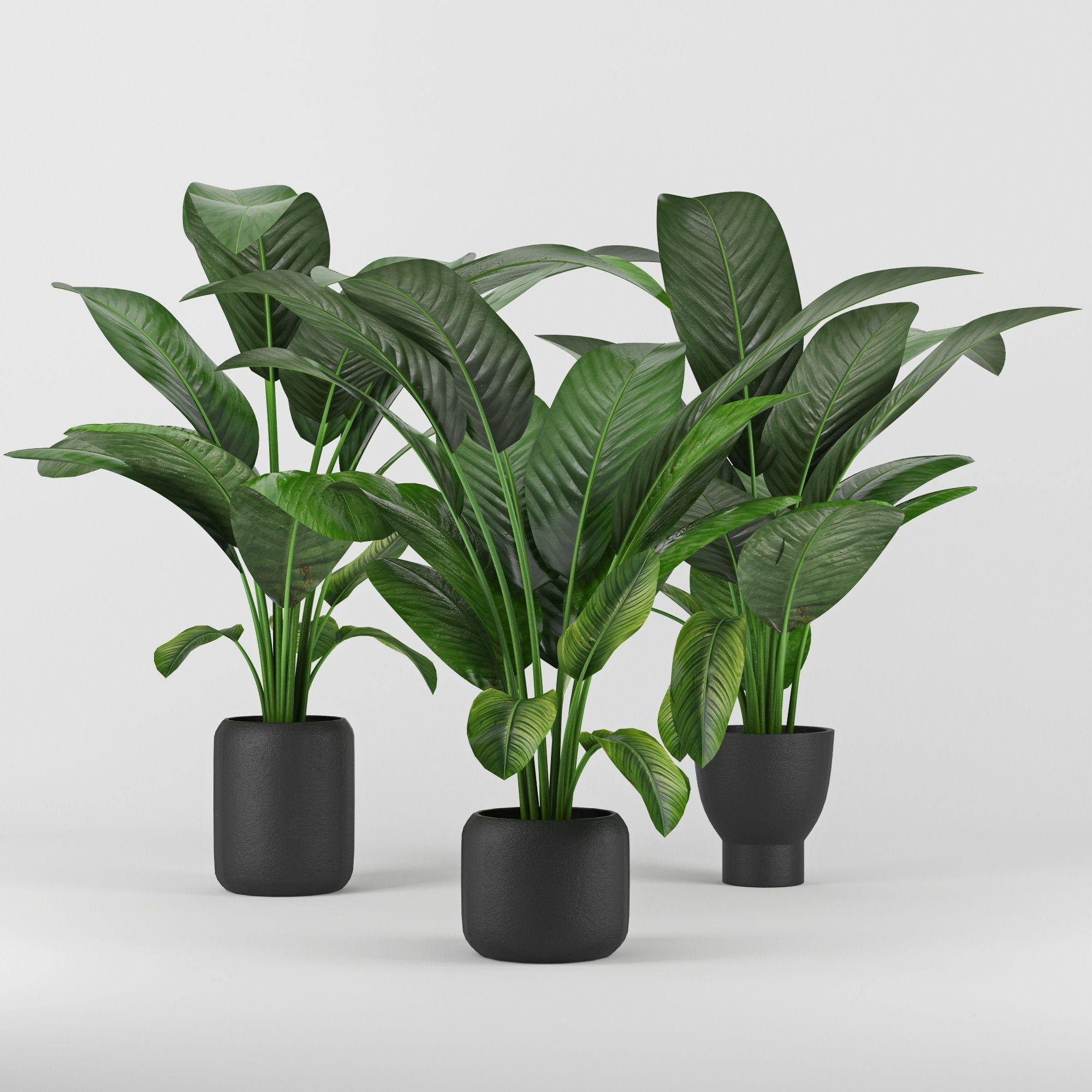 Tropical three plants pots 3D model_1