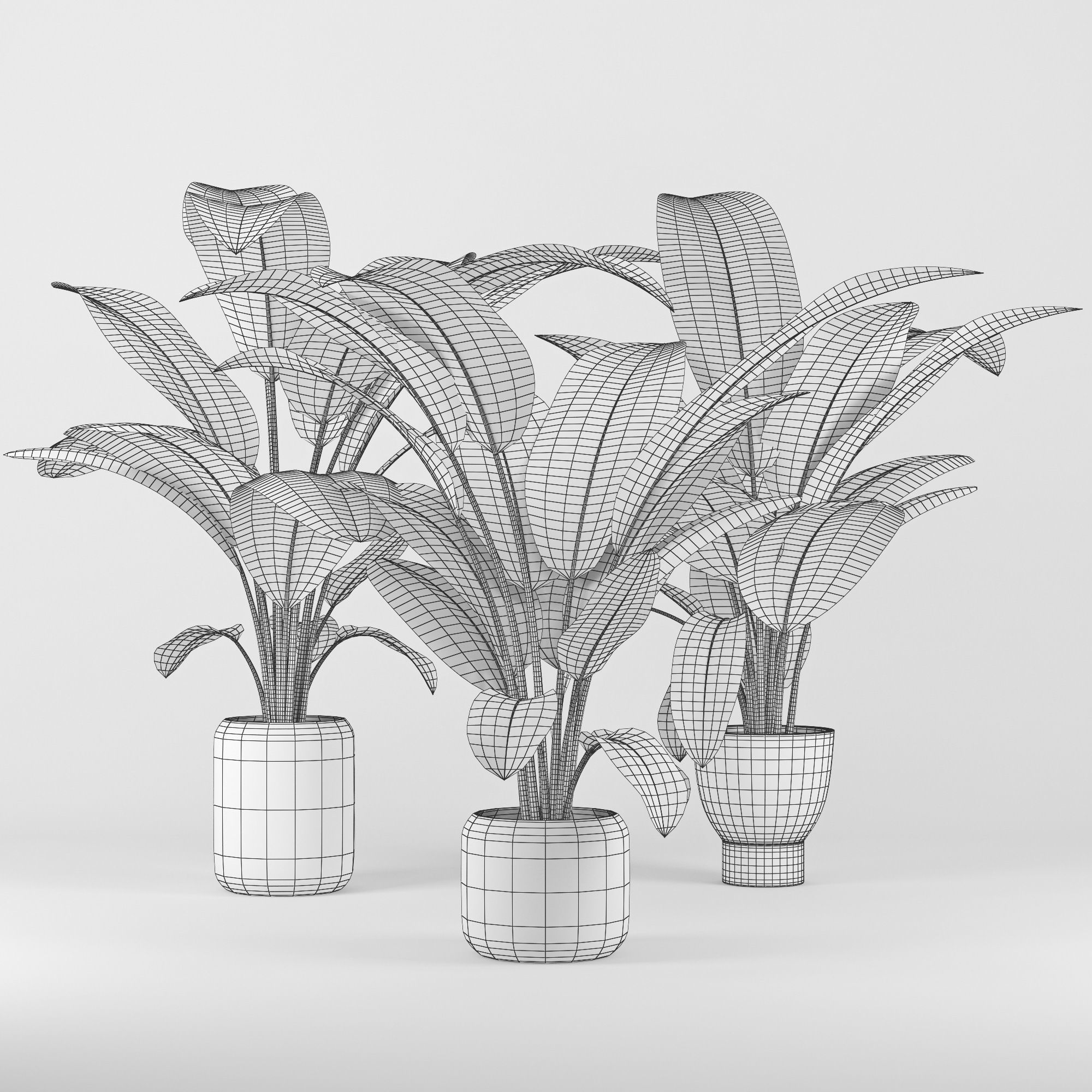 Tropical three plants pots 3D model_3