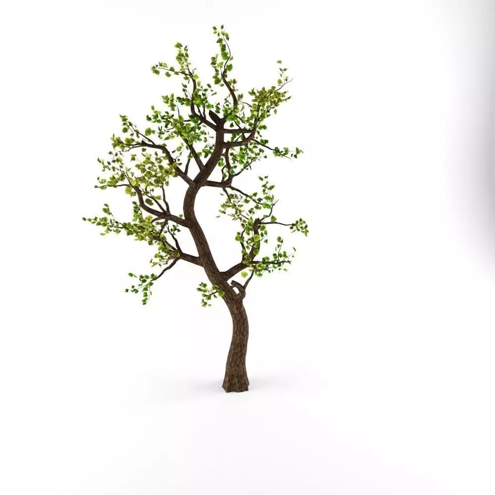 Animated Tree Low-poly 3D model_0