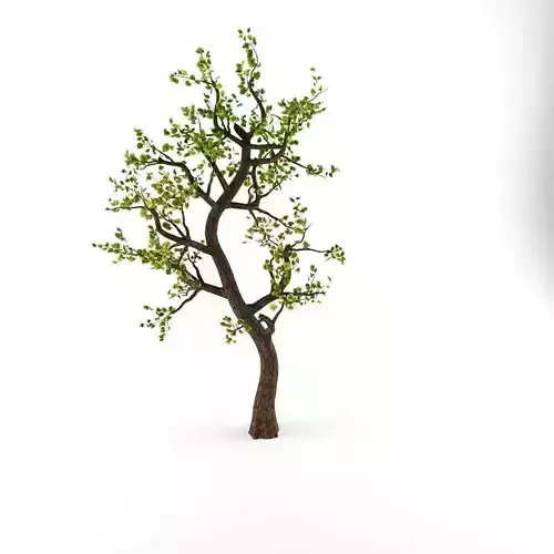 Animated Tree Low-poly 3D model