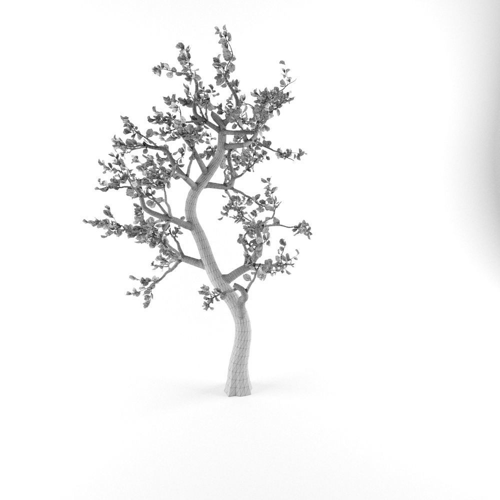 Animated Tree Low-poly 3D model_4