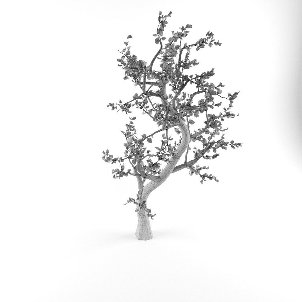 Animated Tree Low-poly 3D model_3