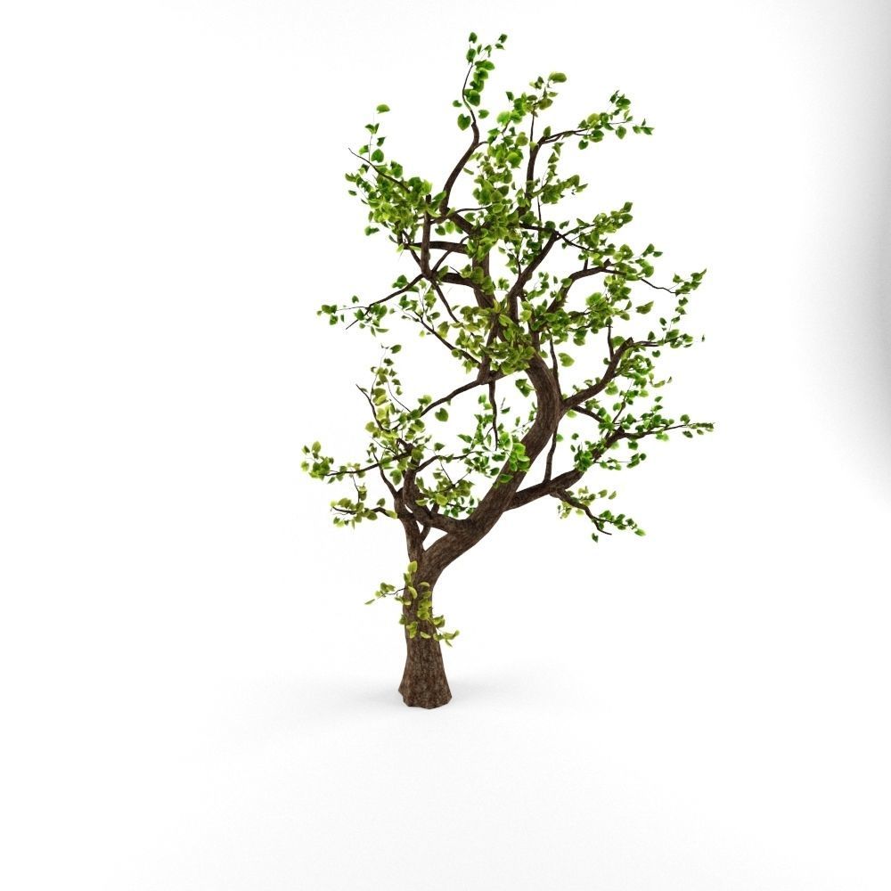 Animated Tree Low-poly 3D model_2