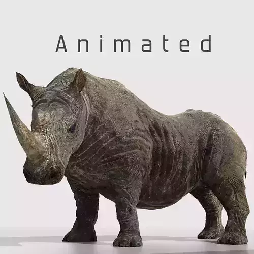 Southern White African Rhino Low-poly 3D model