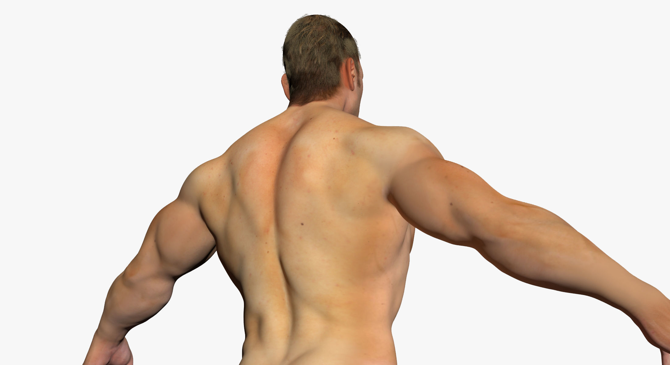 Full Female And Male Body Anatomy 3DSmax 3D model_20