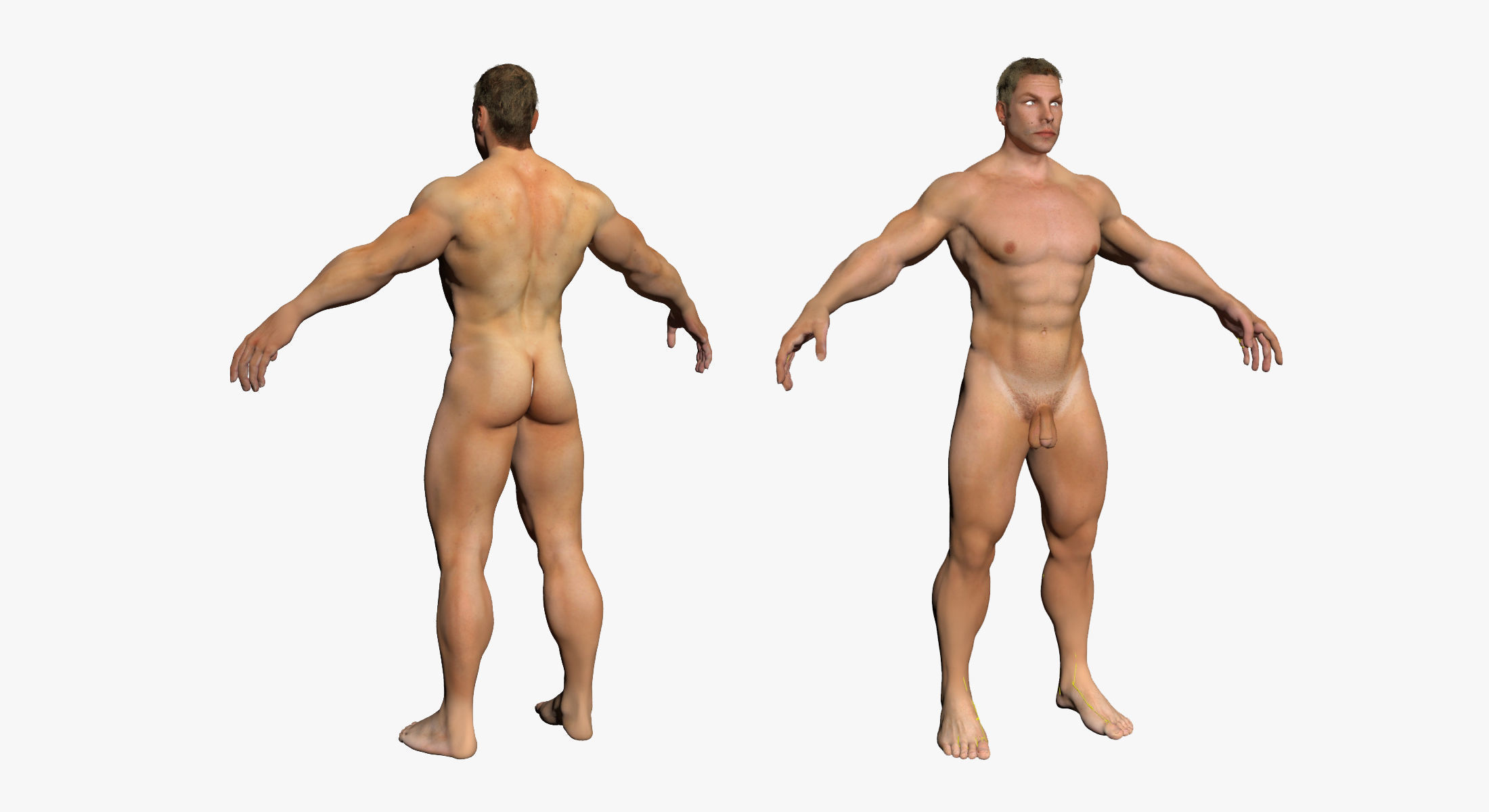 Full Female And Male Body Anatomy 3DSmax 3D model_18