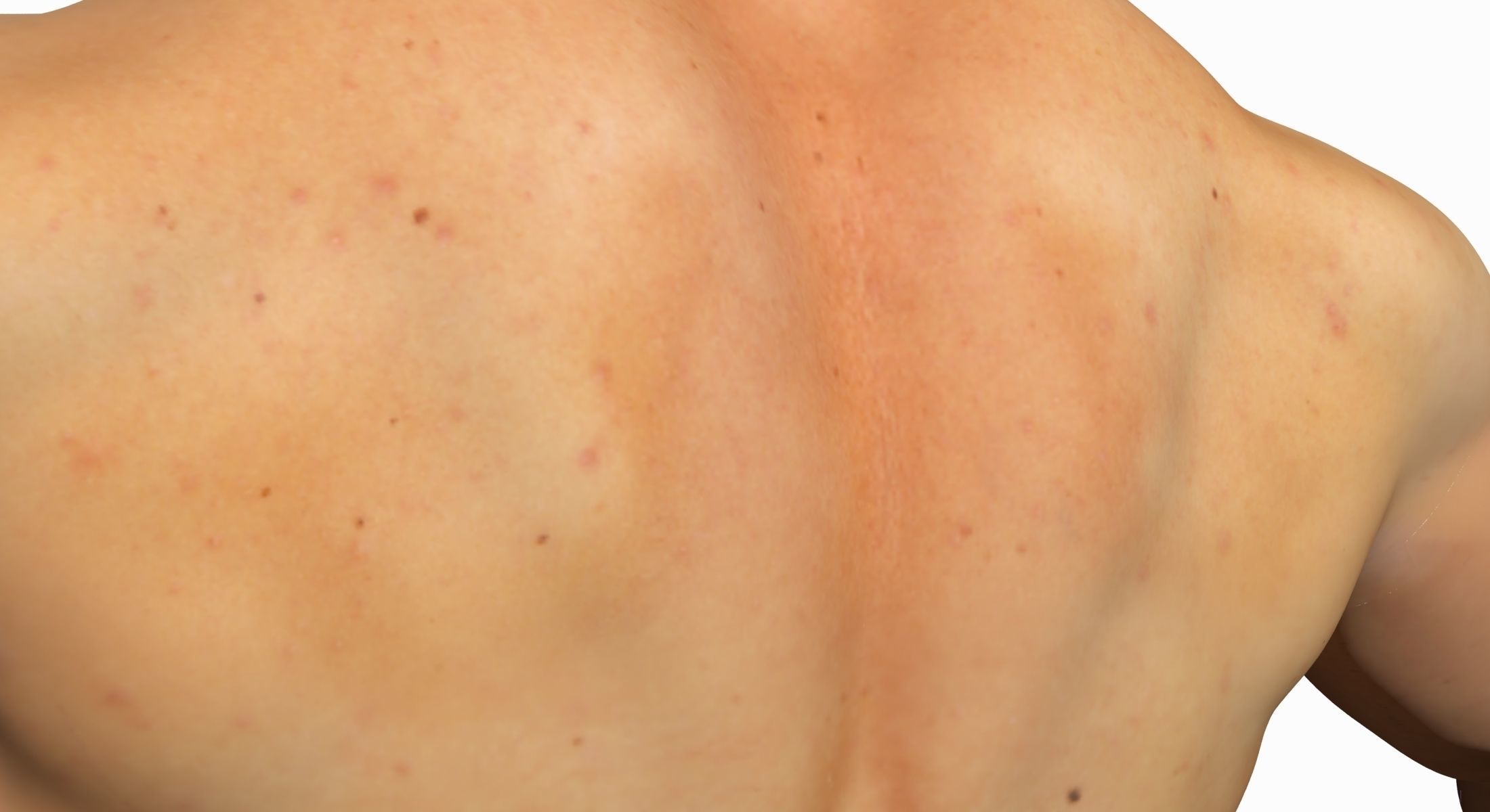 Full Female And Male Body Anatomy 3DSmax 3D model_21