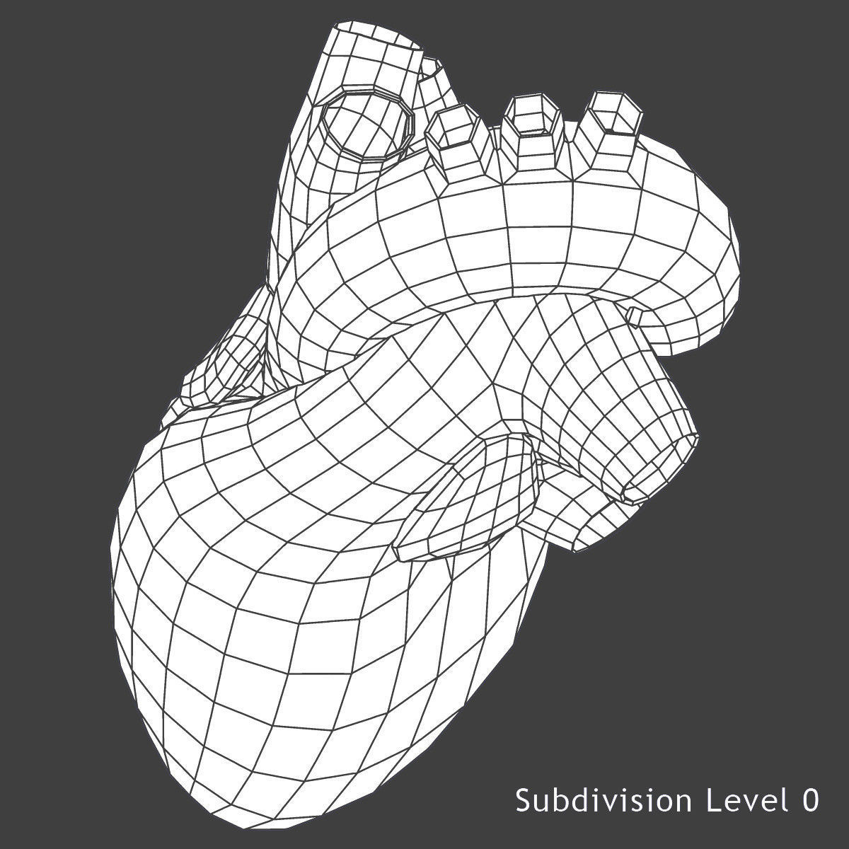 Full Female And Male Body Anatomy 3DSmax 3D model_55