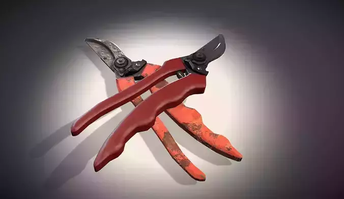 Secateurs pruning shears