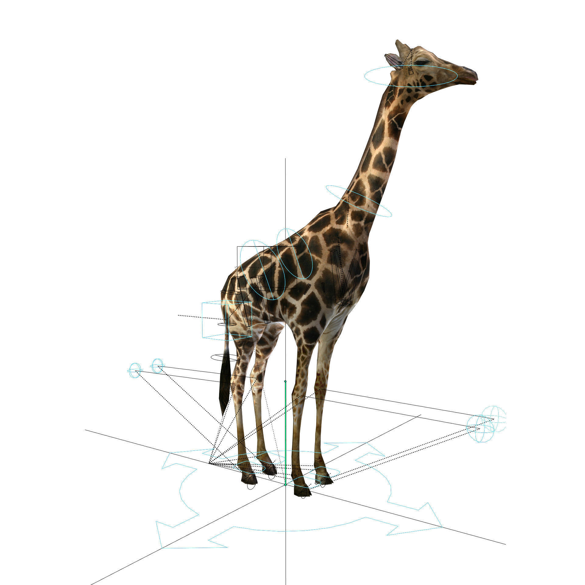 Realtime Running Savannah Giraffe Low-poly 3D model_3