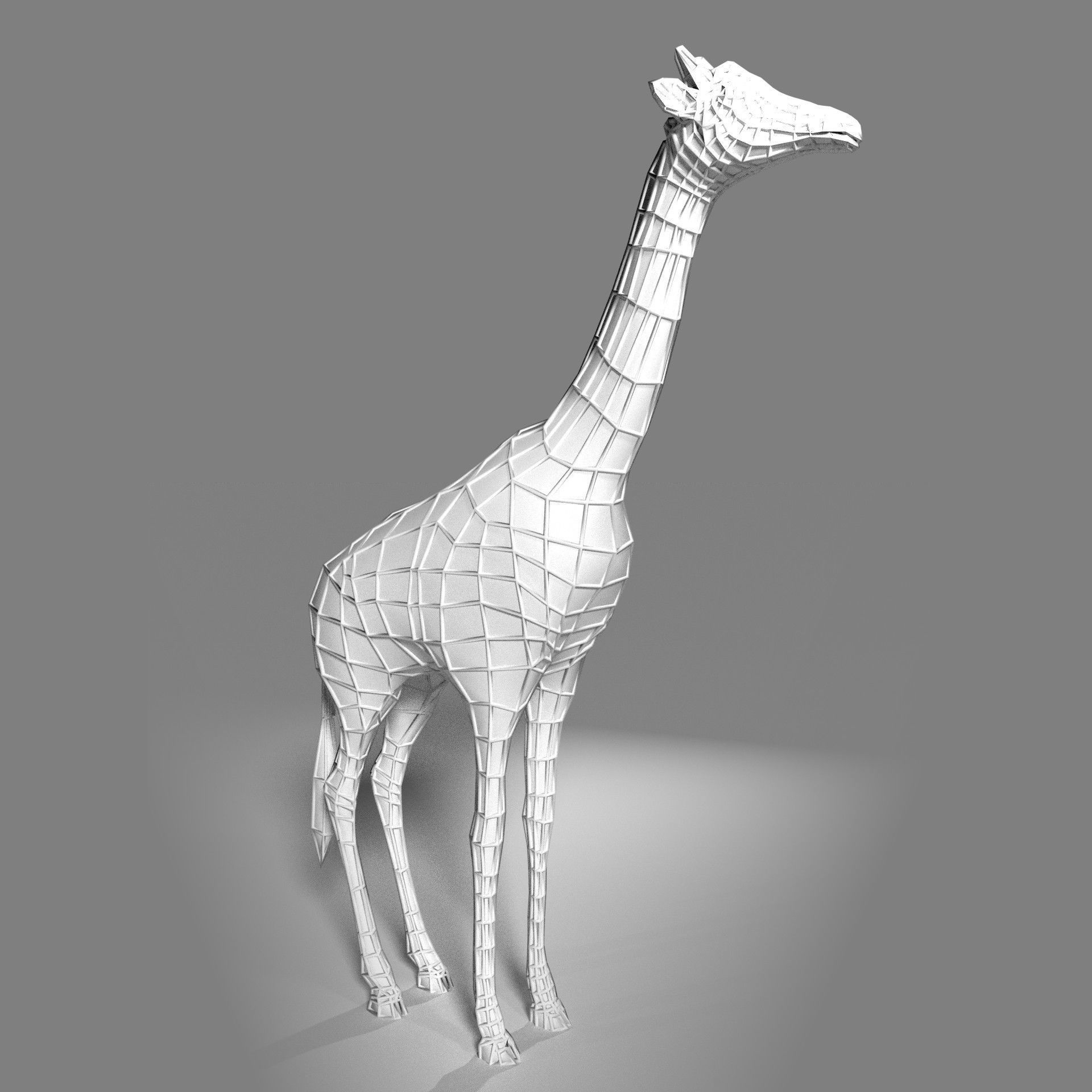Realtime Running Savannah Giraffe Low-poly 3D model_8