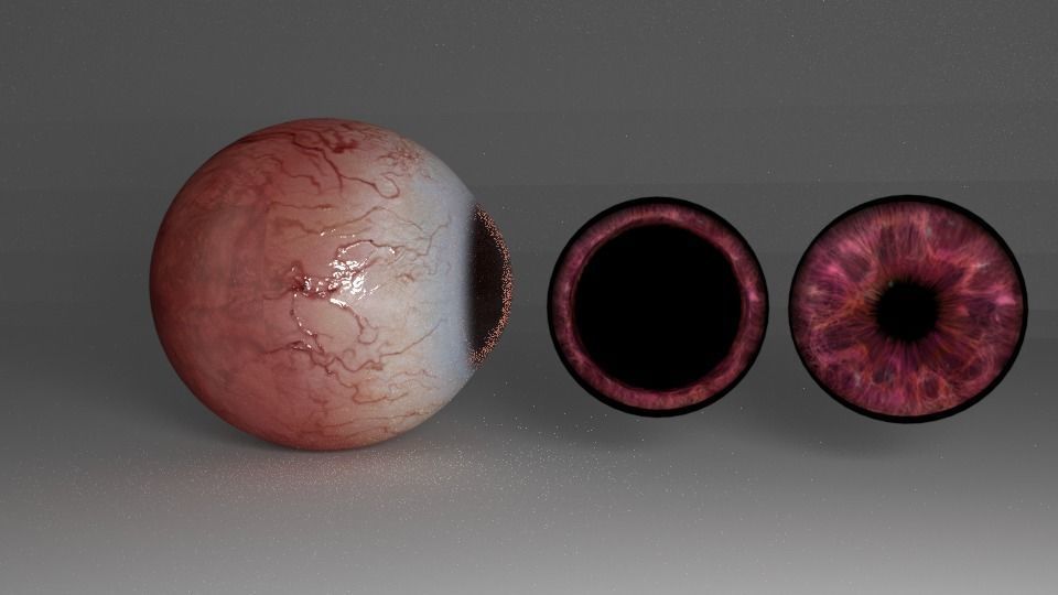 Ocular globe 3D model_1