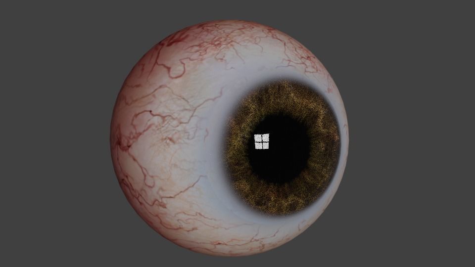 Ocular globe 3D model_9