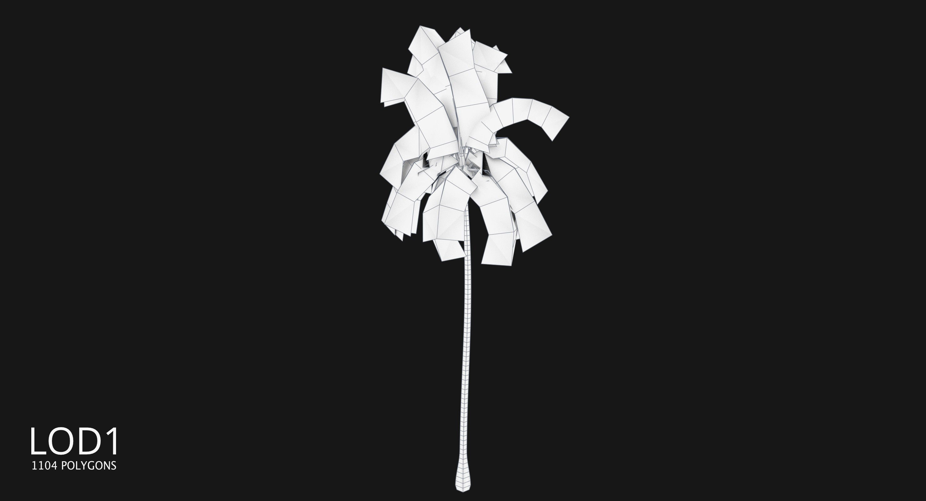 Coconut Palm Tree 3698-2 Low-poly 3D model_10