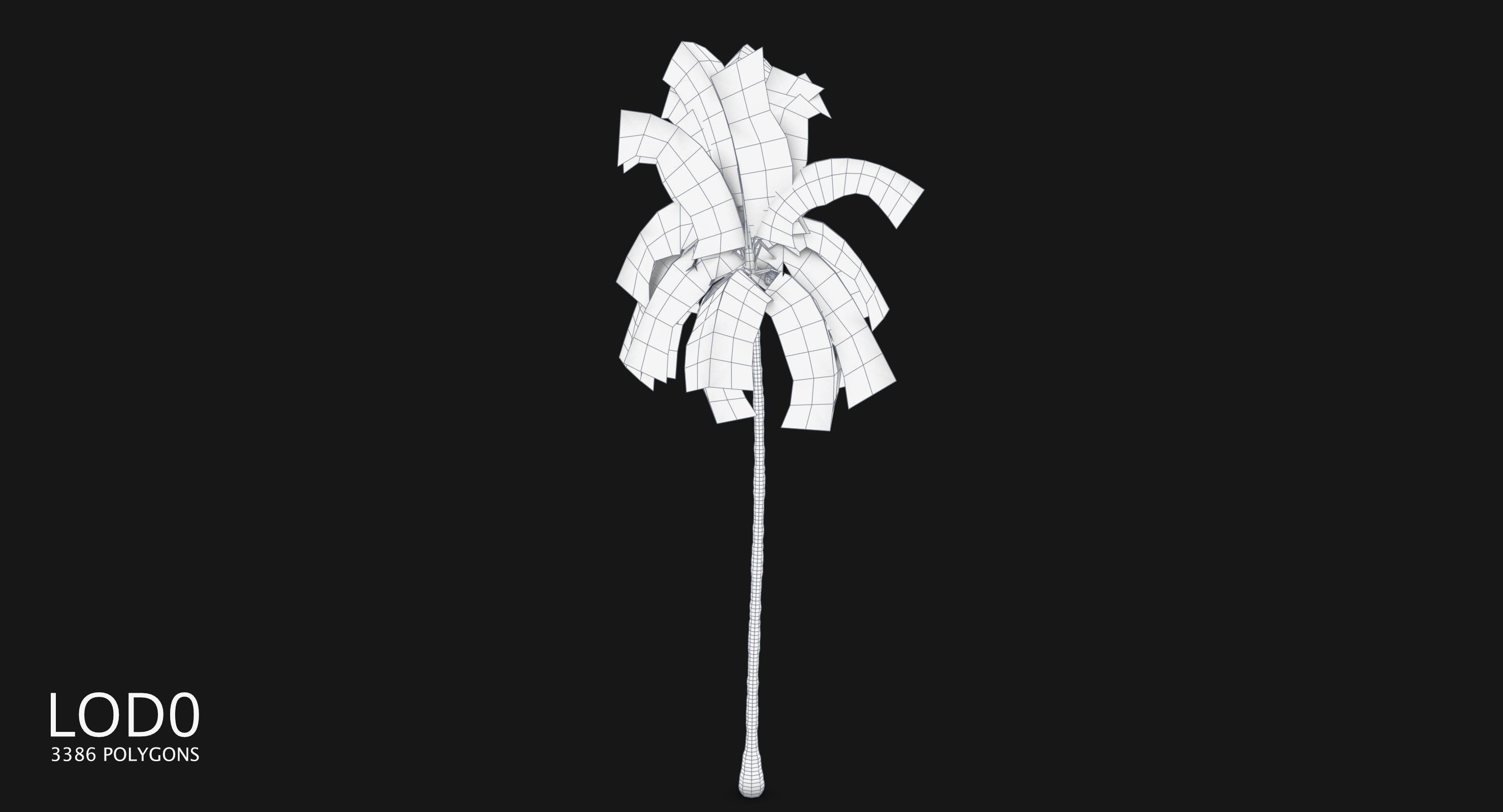 Coconut Palm Tree 3698-2 Low-poly 3D model_9