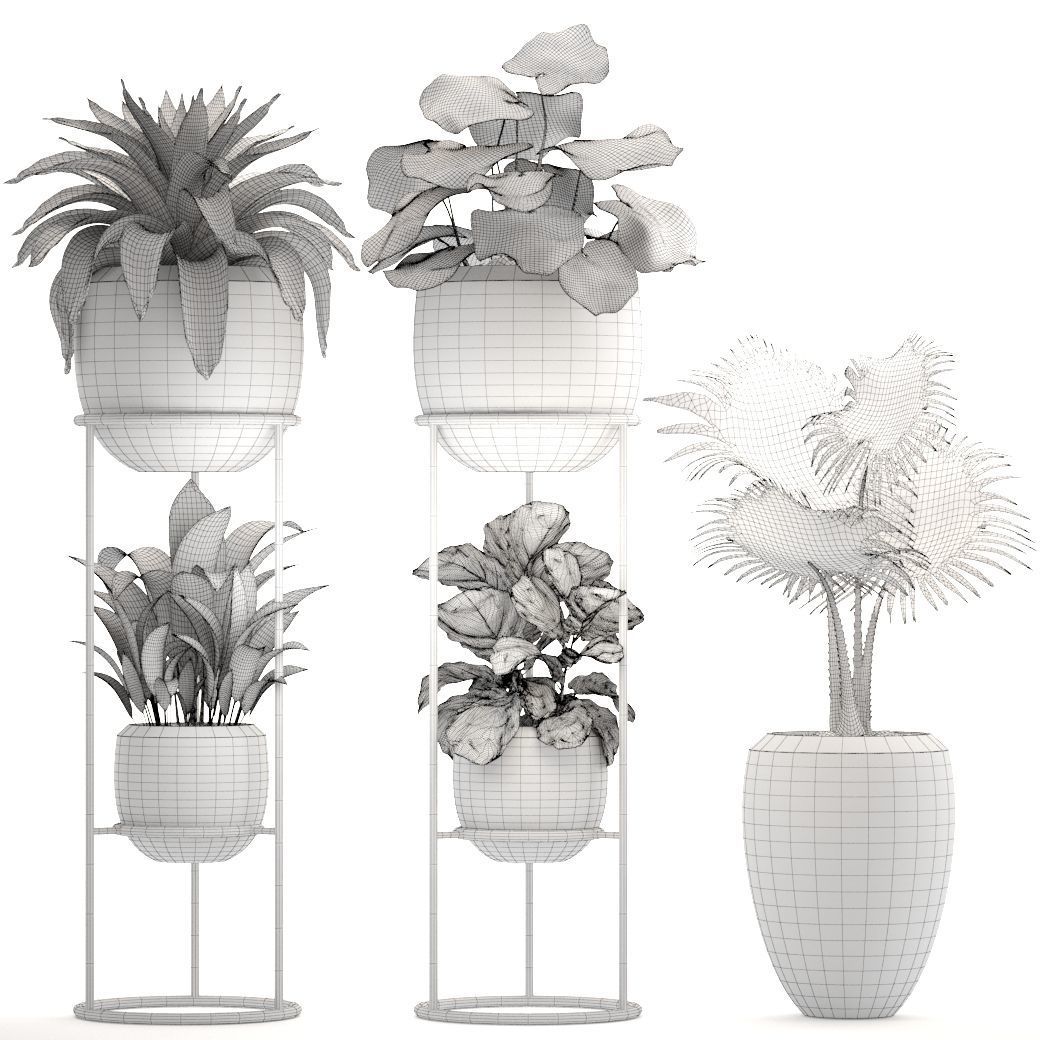 Collection plants palm tree in pot 3D model_5