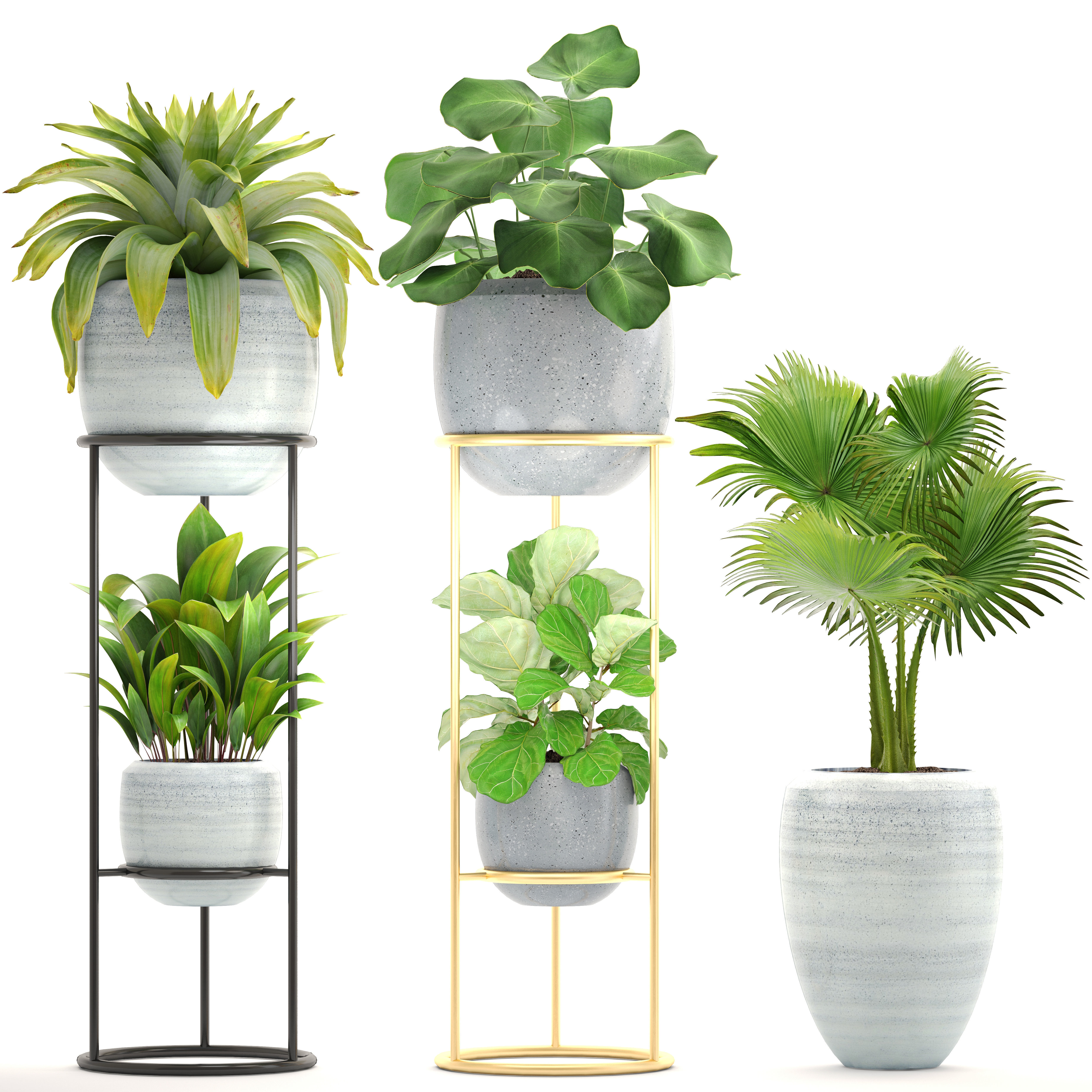 Collection plants palm tree in pot 3D model_7