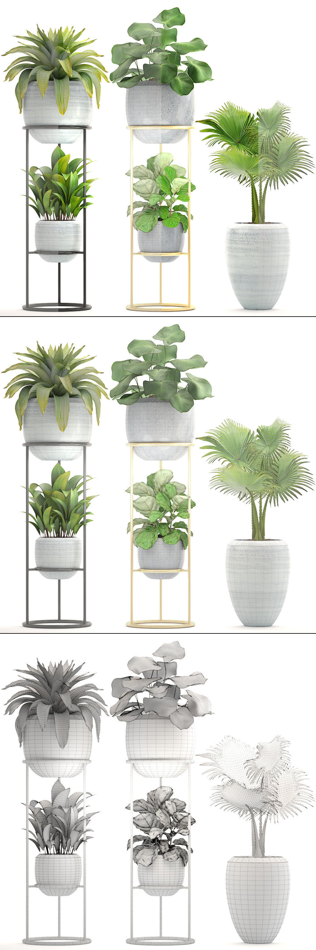 Collection plants palm tree in pot 3D model_8