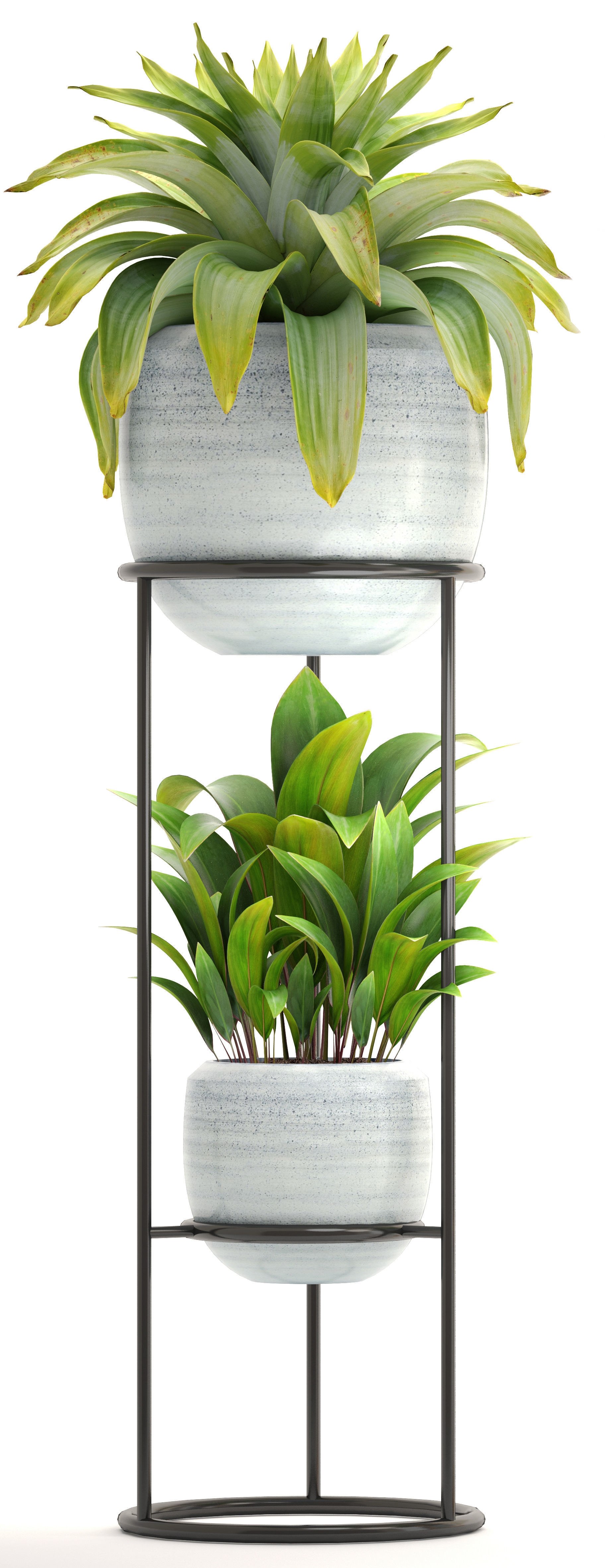 Collection plants palm tree in pot 3D model_9