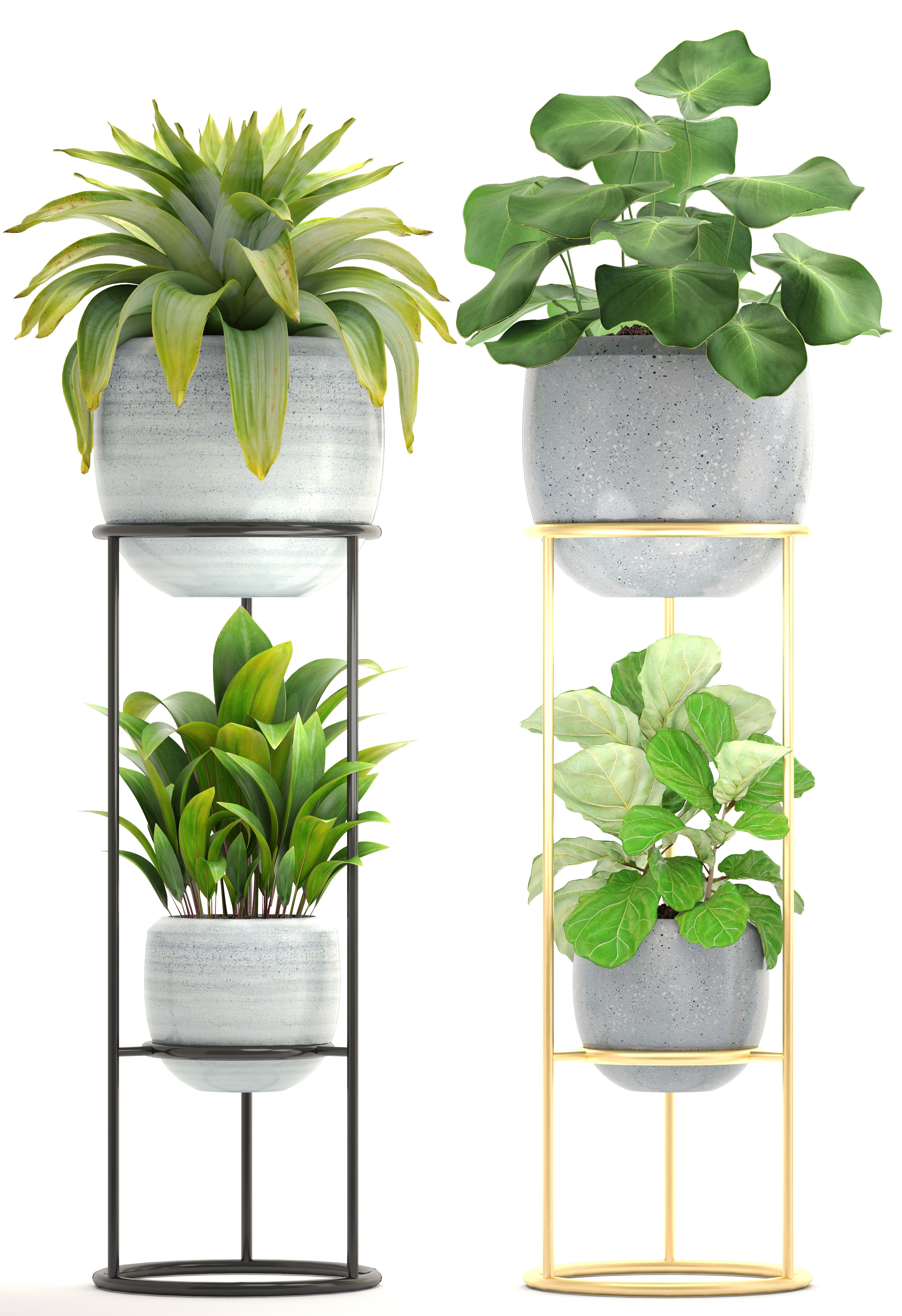 Collection plants palm tree in pot 3D model_3