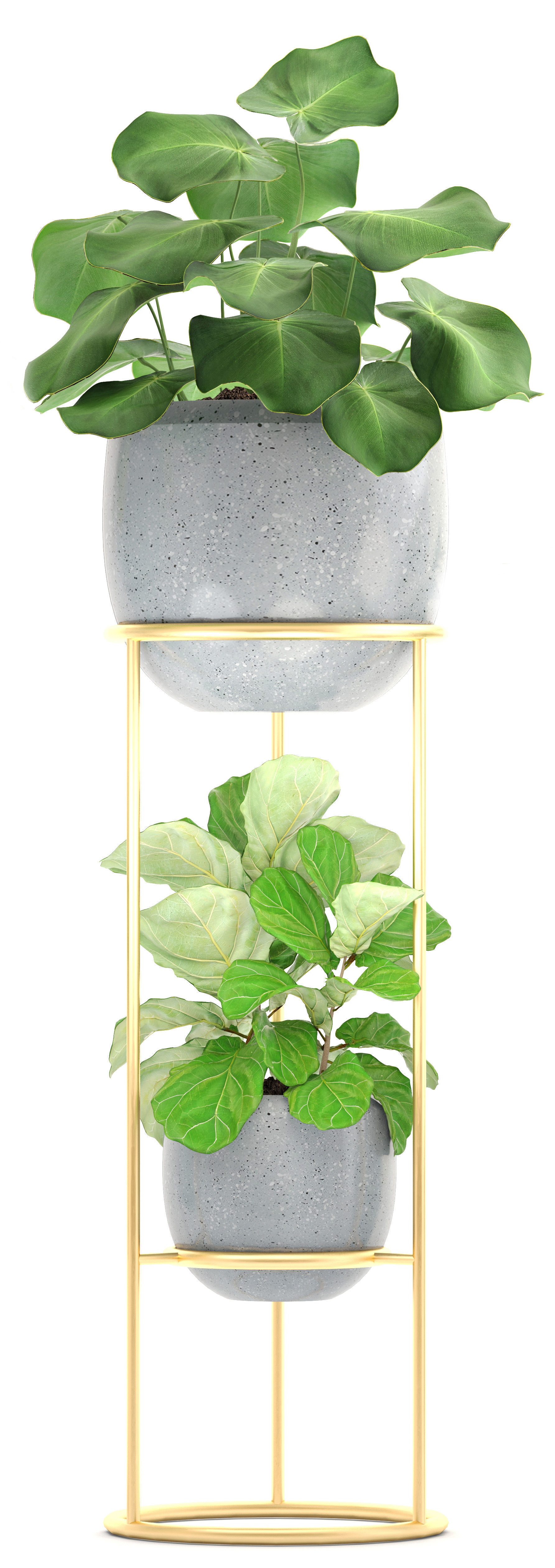 Collection plants palm tree in pot 3D model_2